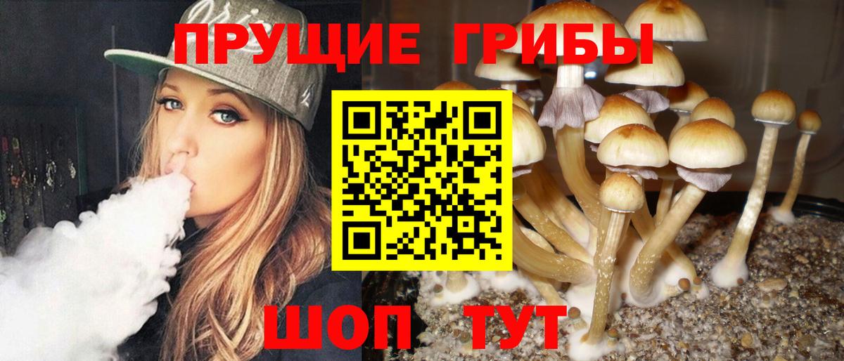 Галлюциногенные грибы Magic Shrooms  Вход с VPN  Калач-на-Дону 