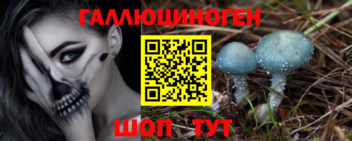 Псилоцибиновые грибы GOLDEN TEACHER Калач-на-Дону